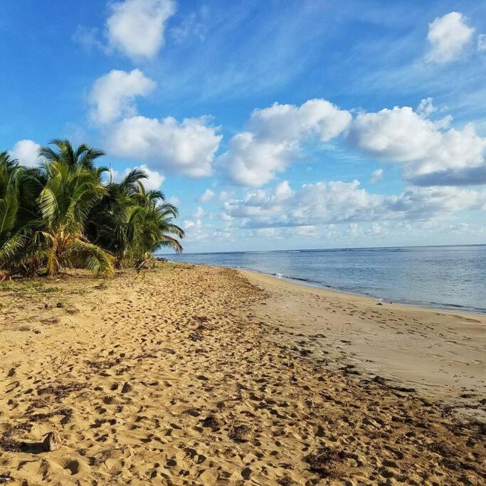 1St Floor, A/C Everywhere, Balcony With Beach View In Luquillo Bagian luar foto