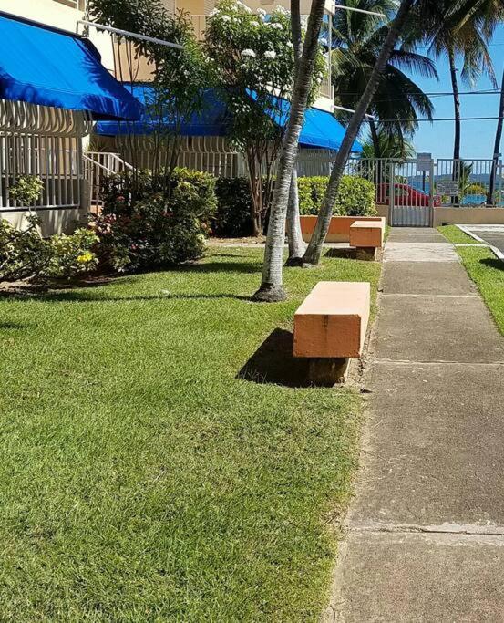 1St Floor, A/C Everywhere, Balcony With Beach View In Luquillo Bagian luar foto